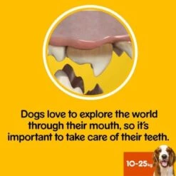 Pedigree Dentastix Oral Care Small Adult Dog Treats