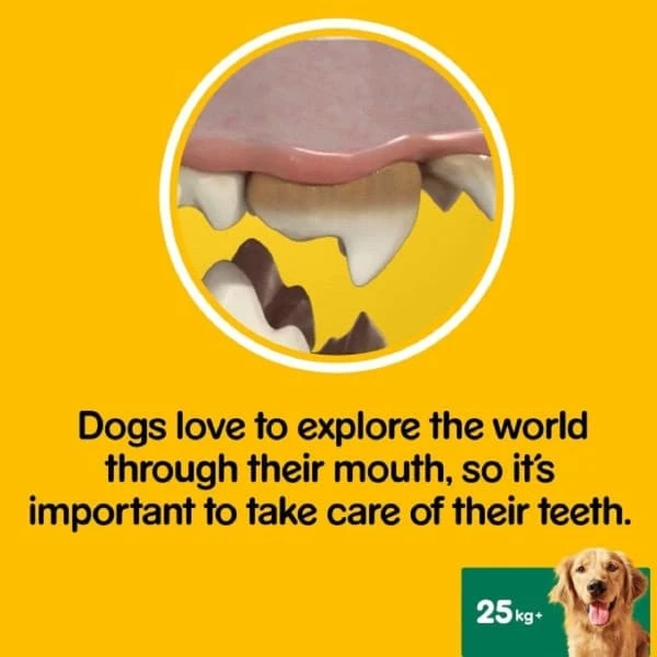 Pedigree Dentastix Oral Care Adult Dog Treats 3 Pedigree Dentastix Oral Care Adult Dog Treats - Image 3