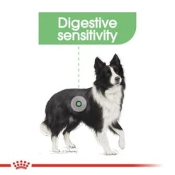 Royal Canin Medium Digestive Care Adult Dog Dry Food -ROYAL CANIN Shop I9499291 en 04