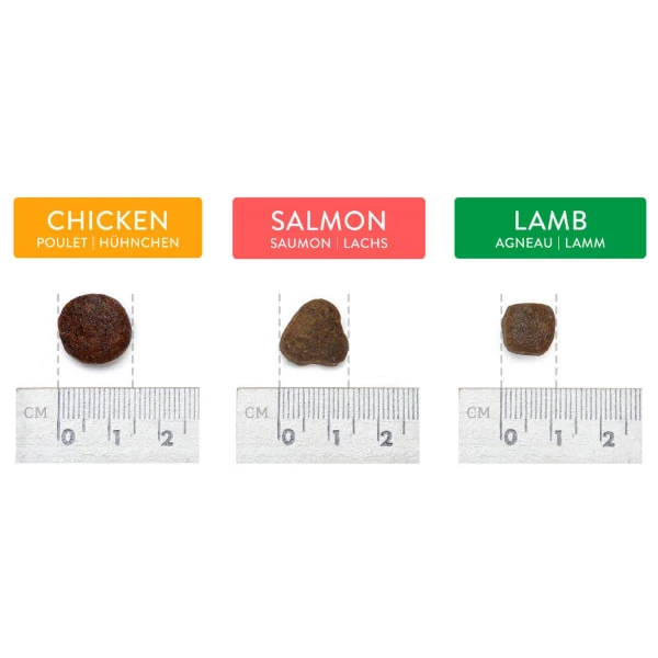 Canine Choice Super Premium Grain-free Medium Adult Dry Dog Food - Salmon 3 Canine Choice Super Premium Grain-free Medium Adult Dry Dog Food - Salmon - Image 3