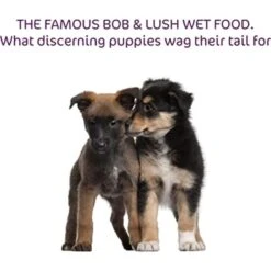 Bob And Lush Grain-free Puppy And Junior Wet Dog Food - Lamb -ROYAL CANIN Shop I9517305 en 03