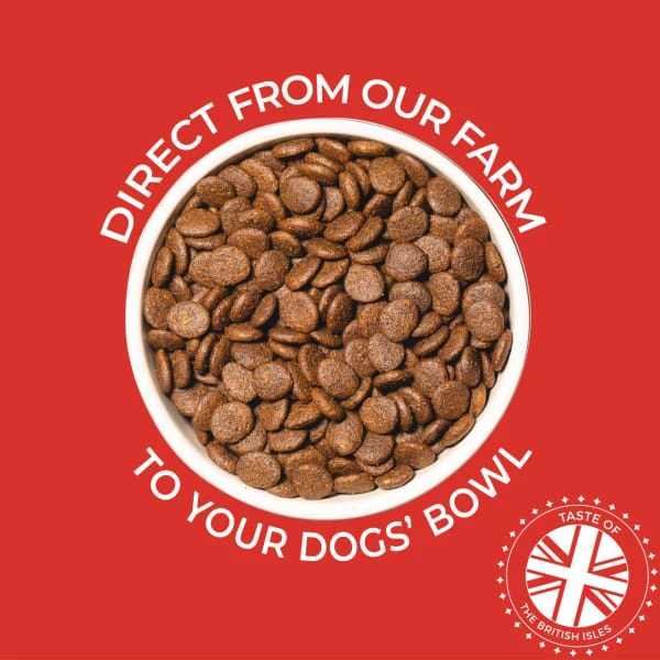 Clydach Working Grain-free Adult Dry Dog Food - Lamb 1 Clydach Working Grain-free Adult Dry Dog Food - Lamb