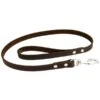 Earthbound Soft Country Leather Dog Lead - Brown