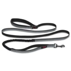 Halti All-In-One Dog Lead - Black -ROYAL CANIN Shop I9521385