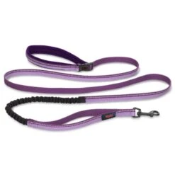 Halti All-In-One Dog Lead - Purple -ROYAL CANIN Shop I9521387