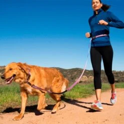 Halti All-In-One Dog Lead - Red