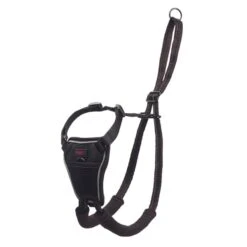 Halti Training No Pull Dog Harness -ROYAL CANIN Shop I9521399