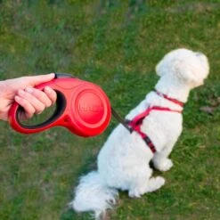 Halti Retractable Dog Lead - Blue - Up To 20 Kg