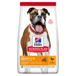 Hill's Science Plan Light Medium Adult Dry Dog Food - Chicken -ROYAL CANIN Shop I9521492