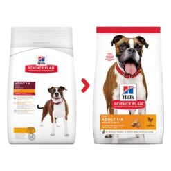 Hill's Science Plan Light Medium Adult Dry Dog Food - Chicken -ROYAL CANIN Shop I9521492 01