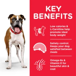 Hill's Science Plan Light Medium Adult Dry Dog Food - Chicken -ROYAL CANIN Shop I9521492 02