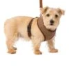 House Of Paws Memory Foam Dog Harness - Brown