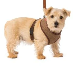House Of Paws Memory Foam Dog Harness - Brown