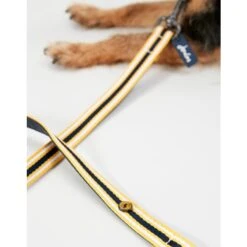 Joules Coastal Dog Lead - Yellow & Navy Blue -ROYAL CANIN Shop I9521715 en 02