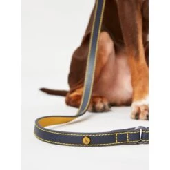 Joules Leather Dog Lead - Navy -ROYAL CANIN Shop I9521716 en 02