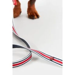 Joules Coastal Dog Lead - Red & Navy Blue -ROYAL CANIN Shop I9521723 en 02