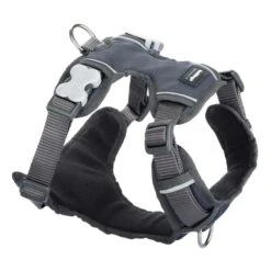 Red Dingo Padded Dog Harness - Cool Grey -ROYAL CANIN Shop I9522415