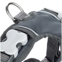 Red Dingo Padded Dog Harness - Cool Grey -ROYAL CANIN Shop I9522415 01