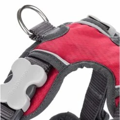 Red Dingo Padded Dog Harness - Red -ROYAL CANIN Shop I9522433 01