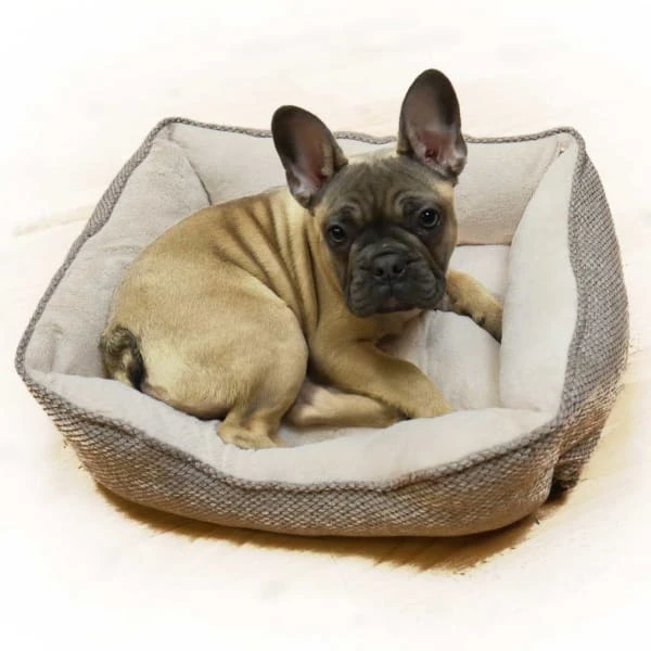 Rosewood 40 Winks Luxury Truffle Dog Bed 1 Rosewood 40 Winks Luxury Truffle Dog Bed