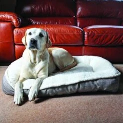 Rosewood 40 Winks Plush & Tweed Teddy Bear Dog Mattress