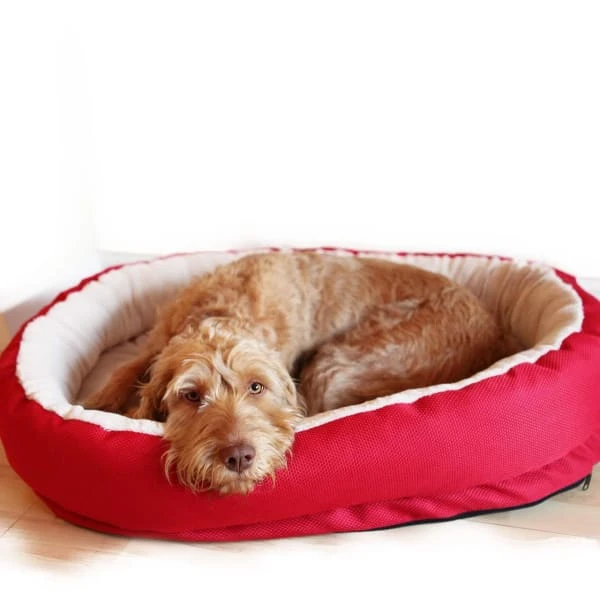 Rosewood 40 Winks Orthopaedic Dog Bed - Red 1 Rosewood 40 Winks Orthopaedic Dog Bed - Red