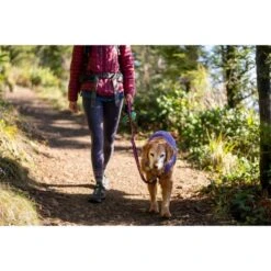 Ruffwear Overcoat Fuse Sage Harness Dog Jacket - Purple
