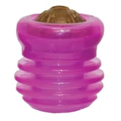 Starmark Everlasting Groovy Ball Dog Toy -ROYAL CANIN Shop I9522742