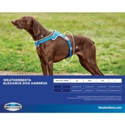 Weatherbeeta Elegance Dog Harness - Black