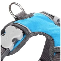 Red Dingo Padded Dog Harness - Turquoise -ROYAL CANIN Shop I9530462 01