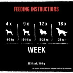 Crave Grain-free Protein Bars Dog Treats - Beef -ROYAL CANIN Shop I9530842 en 06