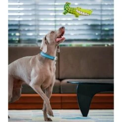 Red Dingo Durables Crocodile Dog Toy