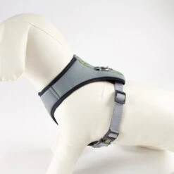 The Mandalorian - Dog Harness -ROYAL CANIN Shop I9607307 en 08