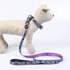 The Villains - Dog Premium Leash M -ROYAL CANIN Shop I9608301 en 03