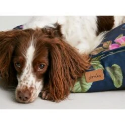 Joules Floral Dog Mattress -ROYAL CANIN Shop I9637393 en 08