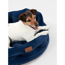 Joules Chesterfield Dog Bed - Navy -ROYAL CANIN Shop I9637396 en 07