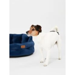Joules Chesterfield Dog Bed - Navy -ROYAL CANIN Shop I9637396 en 08