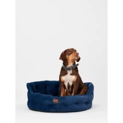 Joules Chesterfield Dog Bed - Navy -ROYAL CANIN Shop I9637396 en 11
