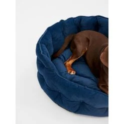 Joules Chesterfield Dog Bed - Navy -ROYAL CANIN Shop I9637396 en 12