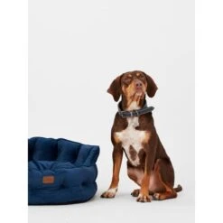 Joules Chesterfield Dog Bed - Navy -ROYAL CANIN Shop I9637396 en 14