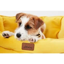 Joules Chesterfield Dog Bed - Yellow