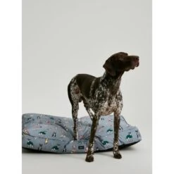 Joules Rainbow Dog Mattress -ROYAL CANIN Shop I9637401 en 06