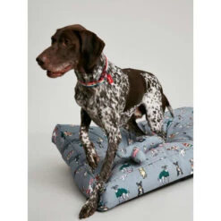 Joules Rainbow Dog Mattress -ROYAL CANIN Shop I9637401 en 07