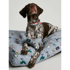 Joules Rainbow Dog Mattress -ROYAL CANIN Shop I9637401 en 08