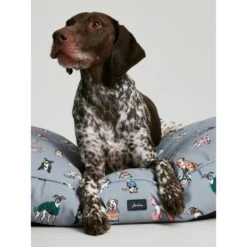 Joules Rainbow Dog Mattress -ROYAL CANIN Shop I9637401 en 10