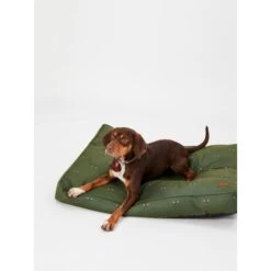 Joules Bee Print Dog Mattress -ROYAL CANIN Shop I9637424 en 09