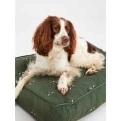 Joules Bee Print Dog Mattress -ROYAL CANIN Shop I9637424 en 11