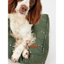 Joules Bee Print Dog Mattress -ROYAL CANIN Shop I9637424 en 12