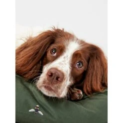 Joules Bee Print Dog Mattress