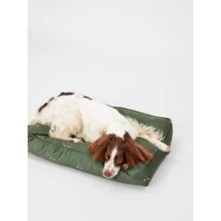 Joules Bee Print Dog Mattress -ROYAL CANIN Shop I9637424 en 14